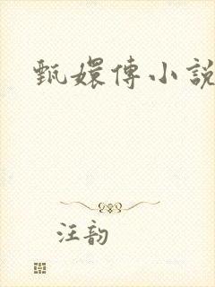 甄嬛传小说封面