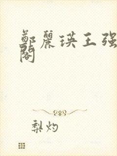 郑丽瑛王强笔趣阁