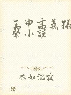 王申高义孙倩有声小说