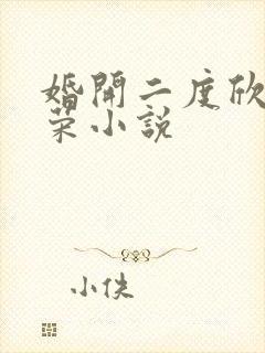 婚开二度欣欣向荣小说