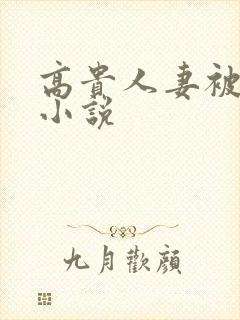 高贵人妻被调教小说