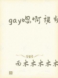 gay嗯啊视频