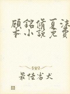 顾铭修夏沫染全本小说免费阅读