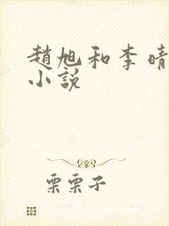 赵旭和李晴晴的小说