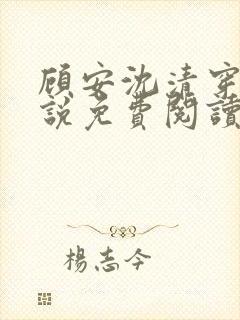 顾安沈清穿越小说免费阅读封面