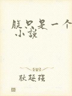 朕只是一个演员 小说封面