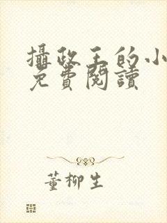 摄政王的小娇妃免费阅读