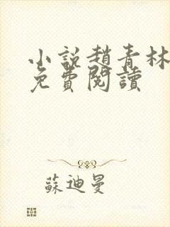 小说赵青林安澜免费阅读