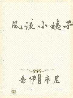 风流小姨子封面