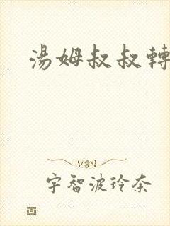 汤姆叔叔转接口