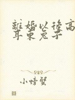 离婚以后高干 耳东兔子