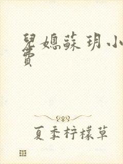 儿媳苏玥小说免费