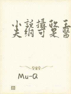 小说摄政王想立夫纲可是医妃太狂