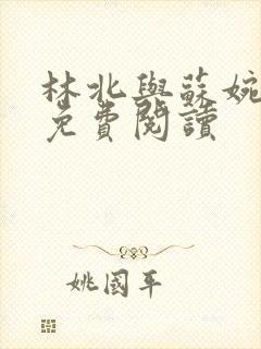 林北与苏婉全文免费阅读