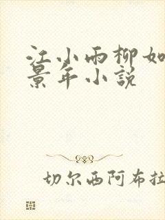 江小雨柳如烟陆景年小说