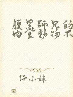 腹黑师兄的日常肉食动物不食草