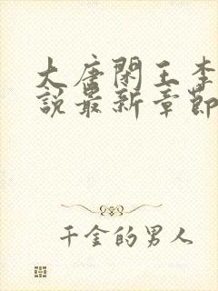 大唐闲王李慎小说最新章节列表