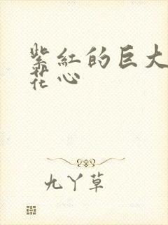 紫红的巨大顶开花心