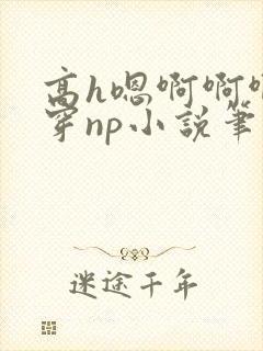 高h嗯啊啊啊快穿np小说笔趣阁封面