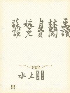 苏婉月林禹年小说免费阅读最新章节