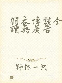 羽衣传说全文阅读无广告