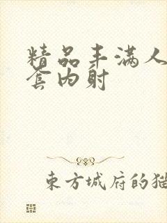 精品丰满人妻无套内射