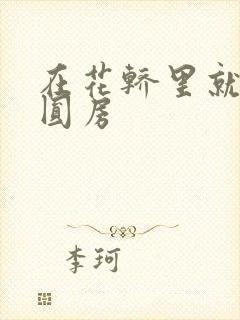 在花轿里就开始圆房封面