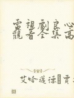 电视剧良心免费观看全集高清封面