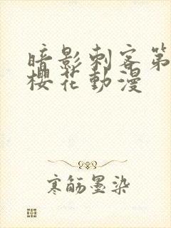 暗影刺客第五季樱花动漫封面