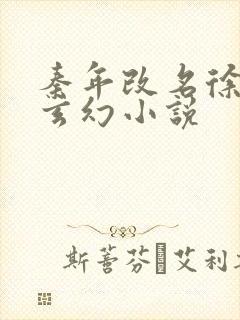 秦年改名徐年的玄幻小说封面