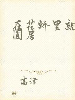 在花轿里就开始圆房