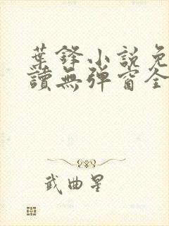 叶锋小说免费阅读无弹窗全文