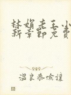 林娟老王小说最新章节免费阅读