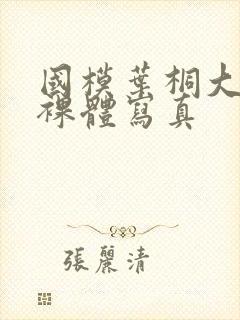 国模叶桐大尺度裸体写真