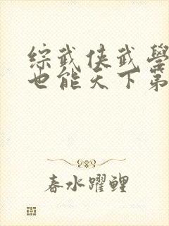 综武侠武学助手也能天下第一吗笔趣阁