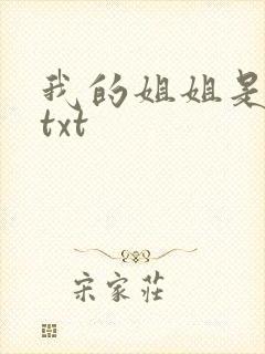 我的姐姐是美女txt封面
