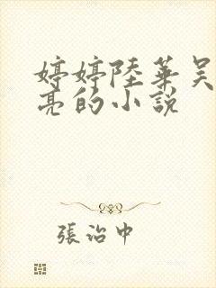 婷婷陆华吴刚吴亮的小说