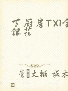 下厨房TXl金银花