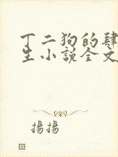 丁二狗的肆意人生小说全文阅读完整版下载