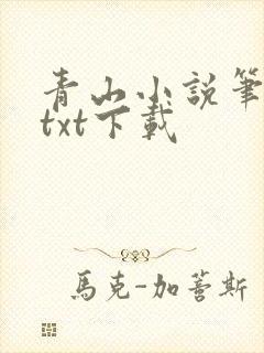 青山小说笔趣阁txt下载封面
