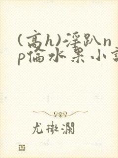 (高h)淫趴np伦水果小说笔趣阁封面