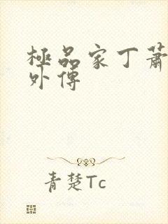 极品家丁萧夫人外传