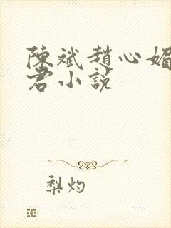 陈斌赵心媚高婉君小说