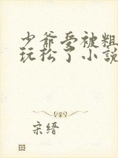 少爷受被粗汉H玩松了小说封面