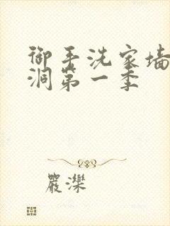 御手洗家墙壁破洞第一季