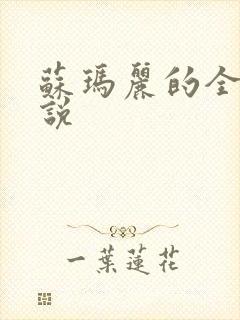 苏玛丽的全部小说封面