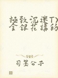 极致沉迷TXL金银花讲的什么
