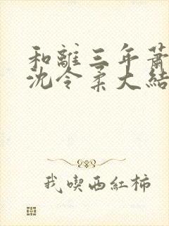 和离三年萧清濯沈令柔大结局封面