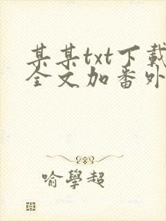 某某txt下载全文加番外封面