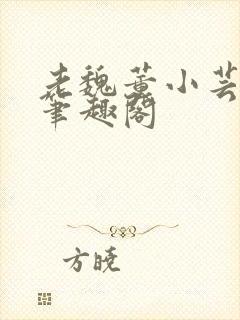 老魏董小芸全文笔趣阁